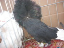 Picture 112