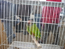 P1010288