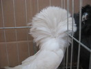 Picture 113