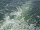 marea neagra (3)