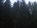 pasul prislop (4)