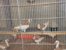 P1010097
