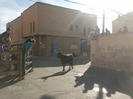 fiesta in spania