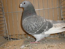 P1010134