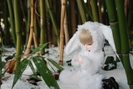 Snow_Bunny_4_by_deVIOsART
