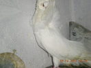 DSCN2626