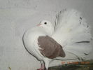 DSCN2627