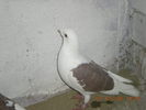 DSCN2631