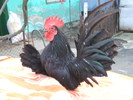 DSCF5630