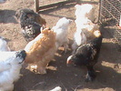 DSC01770
