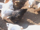 DSC01771