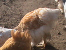 DSC01772