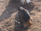 DSC01777