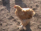 DSC01797