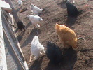 DSC01798