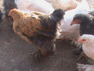 DSC01801