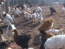 DSC01804