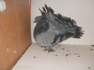DSCN1991