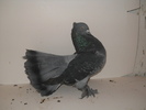 DSCN1992