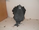 DSCN2007