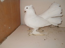 DSCN2071