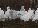DSCN2097