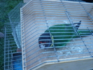 P1020230