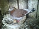 DSC00300