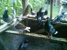 DSC00366