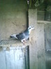 DSC00448