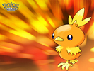 Torchic Wallpaper