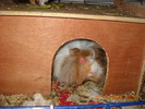Picture 017