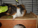 Picture 018