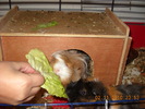 Picture 019