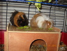 Picture 022