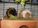 Picture 023
