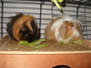 Picture 024