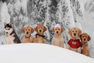 snow_buddies_still