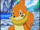 Buizel:Unde suntem?