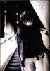 19925879_SIPNKXSTK