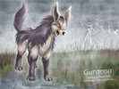 Mightyena(BlueMaria)