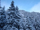 DSC06921