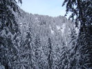 DSC06933