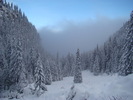 DSC06935