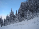 DSC06937