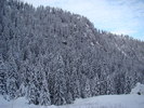 DSC06938