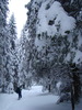 DSC06940
