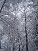 DSC06950