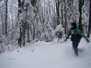 DSC06954