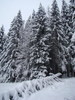 DSC06956